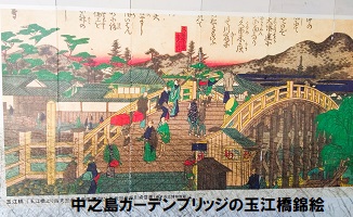 12.堂島川 中之島ガーデンブリッジ3